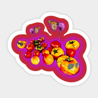 Cool Tomato Sticker